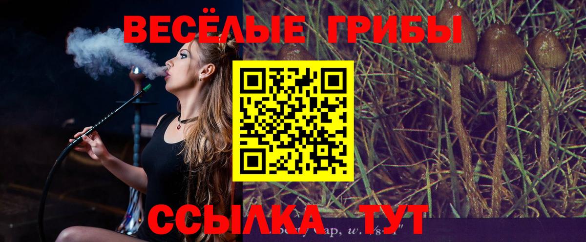 Электрогорск  Галлюциногенные грибы Psilocybe  Вход с VPN 